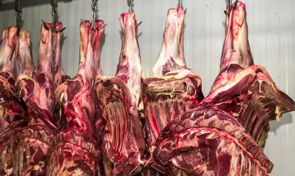 Produtores britânicos pressionam governo contra carne brasileira
