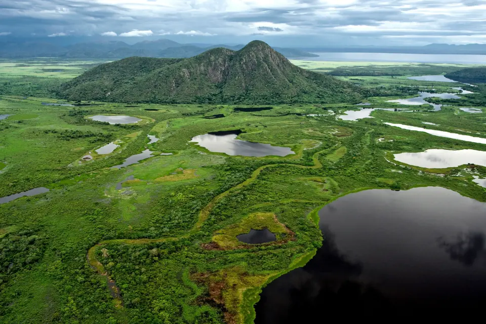 Pantanal preserva mais de 80% da vegetação nativa sob manejo tradicional